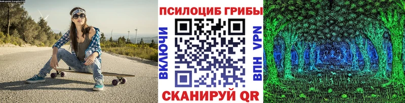 Псилоцибиновые грибы GOLDEN TEACHER  Тырныауз 